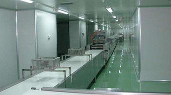 鶴山市共和鎮喜洋洋食品廠加盟