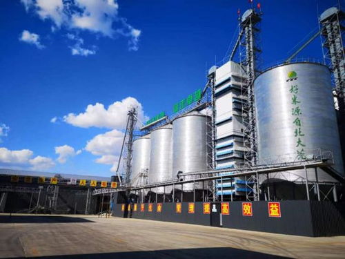 美麗工廠 建設(shè),為米業(yè)集團(tuán)發(fā)展注入澎湃動(dòng)能