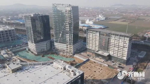 開年即沖刺 齊魯大地園林景觀工程建設不停歇