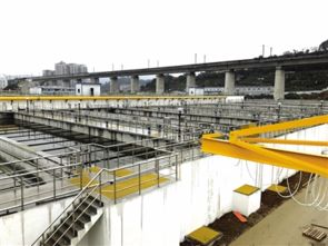 污水處理廠提標(biāo)擴(kuò)建工程建成投用，延期半年終迎收獲
